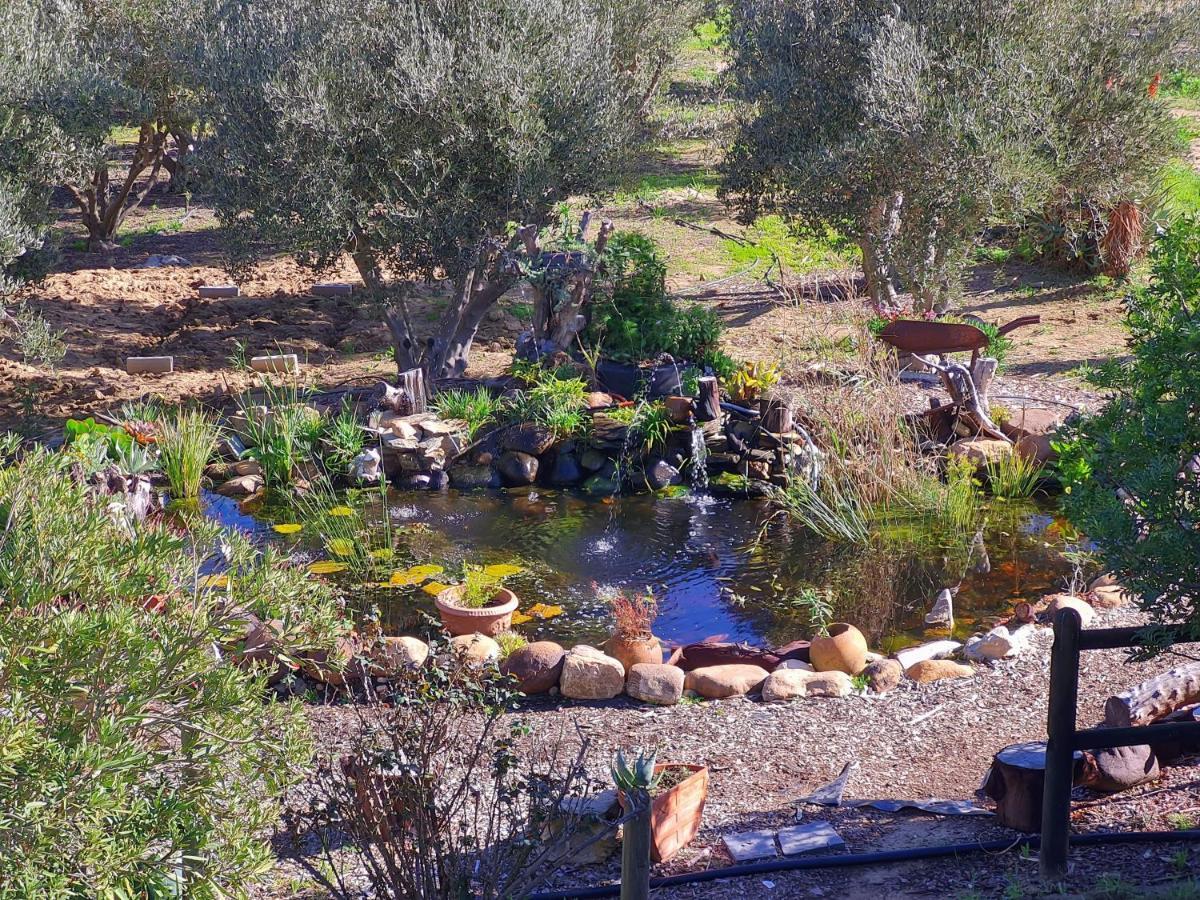 Villa Tarentaal Tulbagh Eksteriør bilde